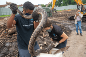 Where The Wild Things Are: On The Road With ACRES’ Wildlife Rescue Team (Part 1)