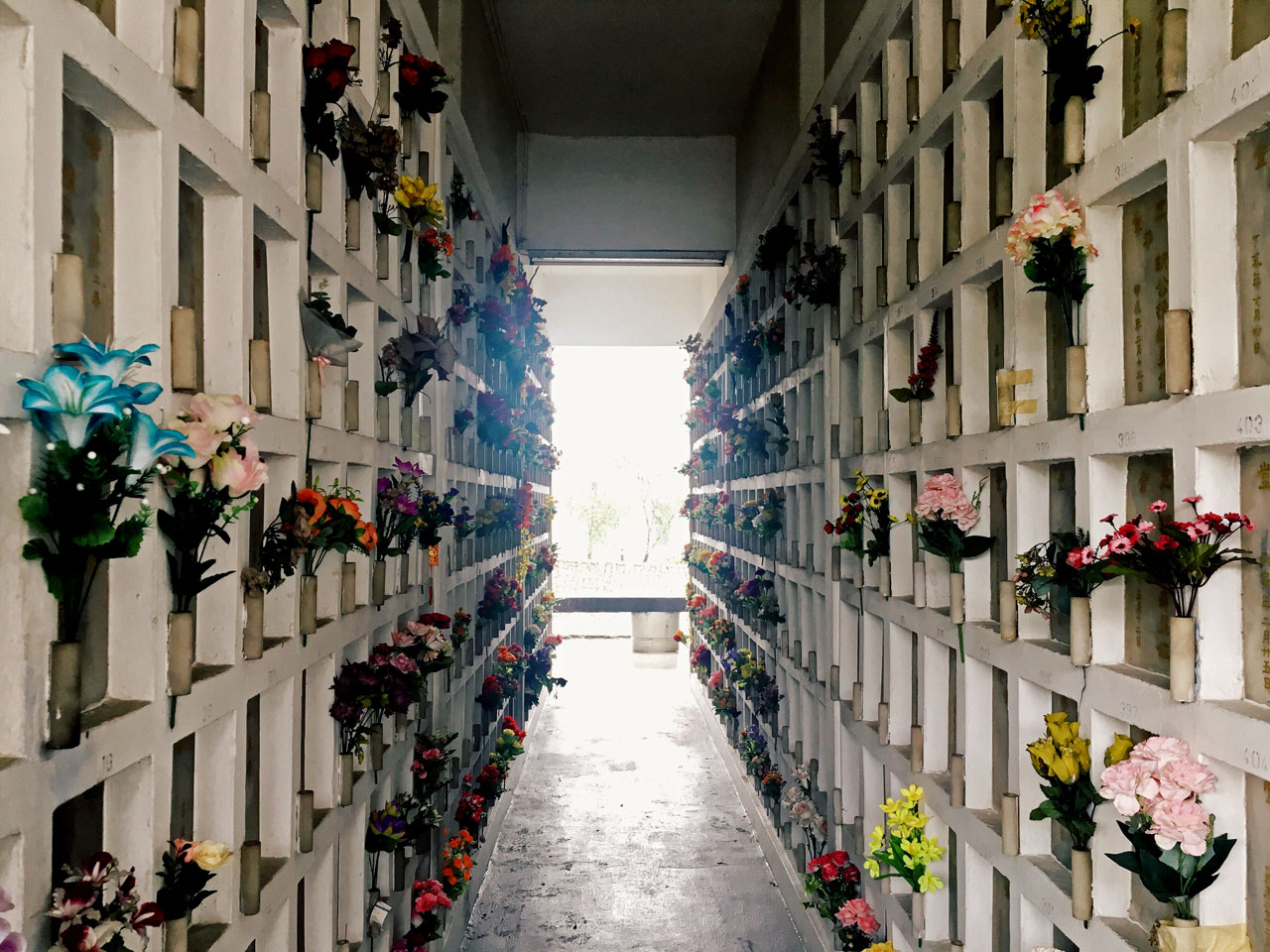 Reflections in Mandai Crematorium