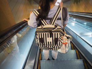 Anello Bags Have Taken Over the World