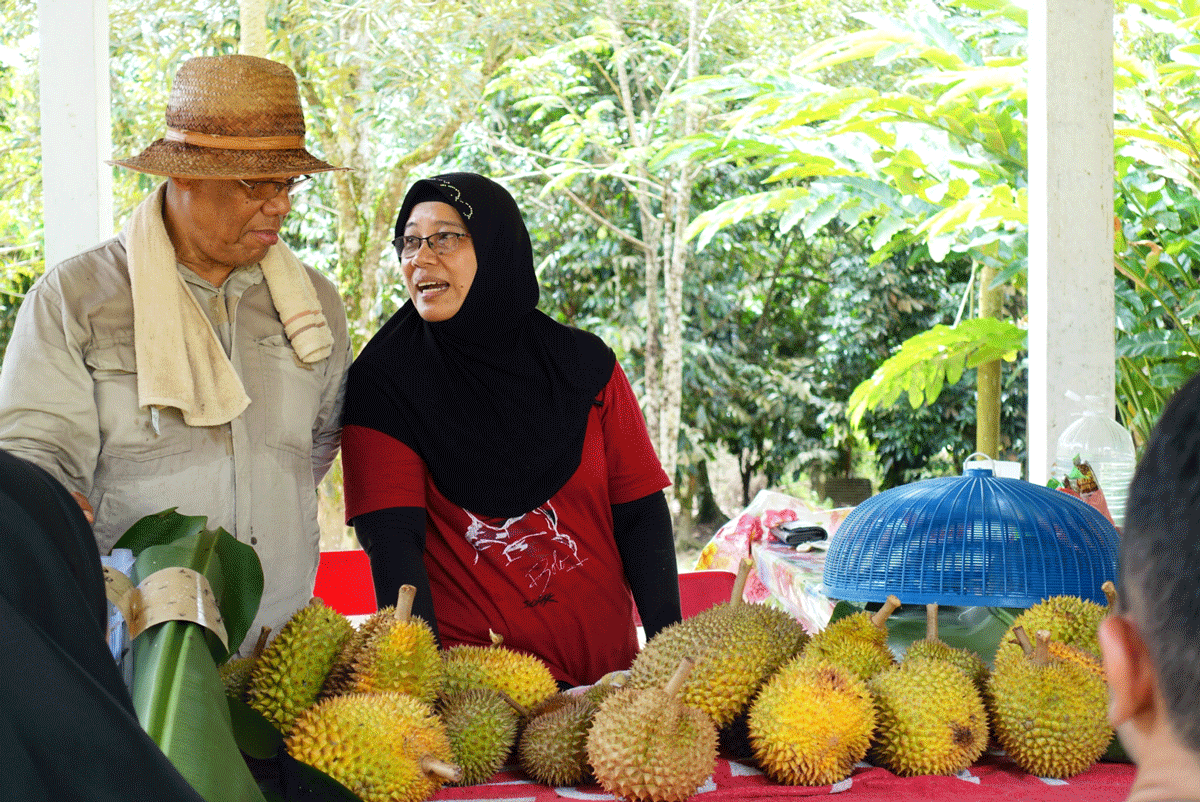 These Ex-teachers Loved Durians So Much, They Started A Farm