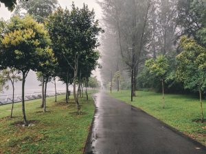 It Took Us One Day to Walk From Chinese Gardens to Punggol. And It Was Worth It.