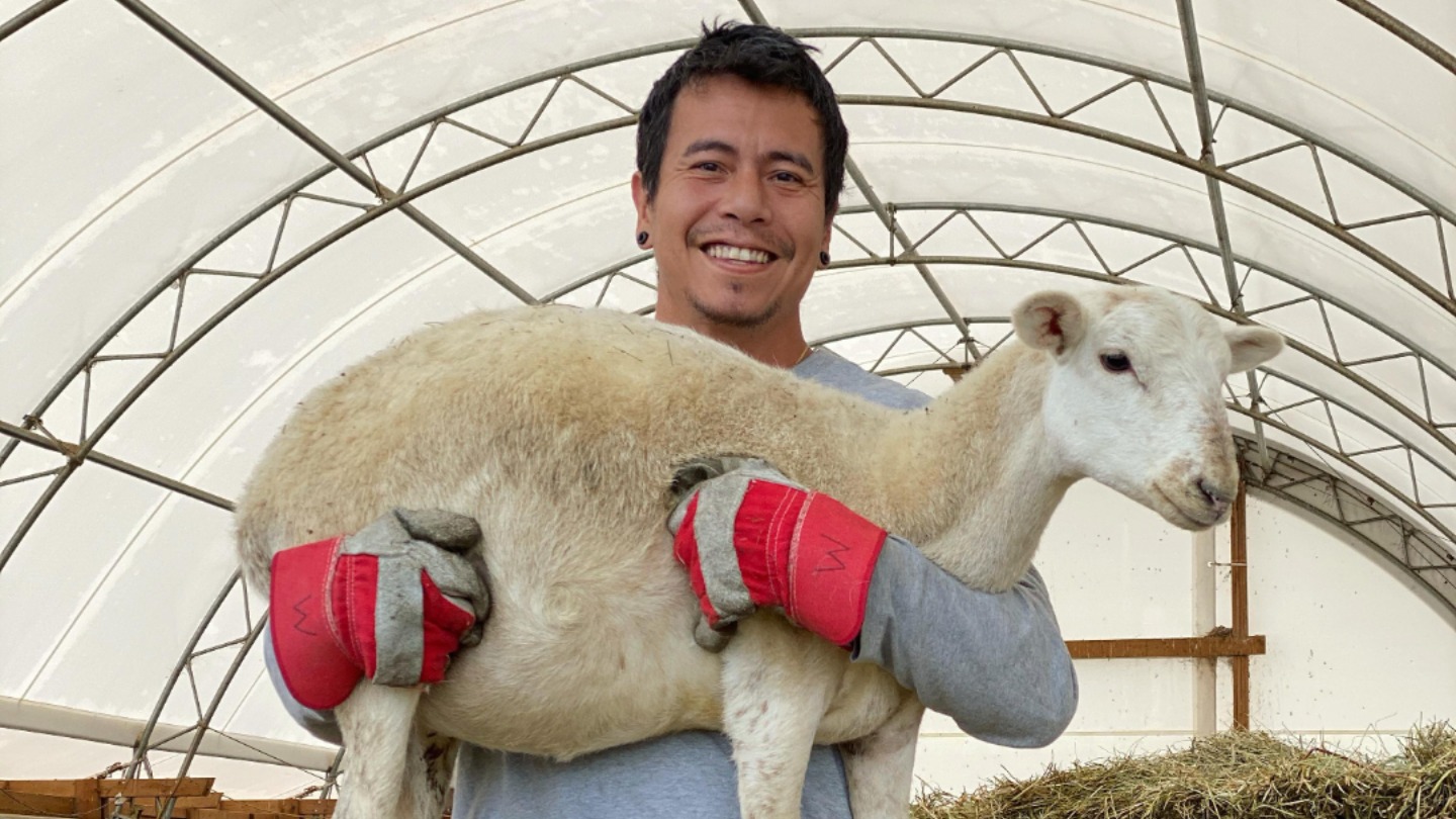 Meet Wesley, The Singaporean Man Who Owns A 200-Acre Sheep Farm In Canada