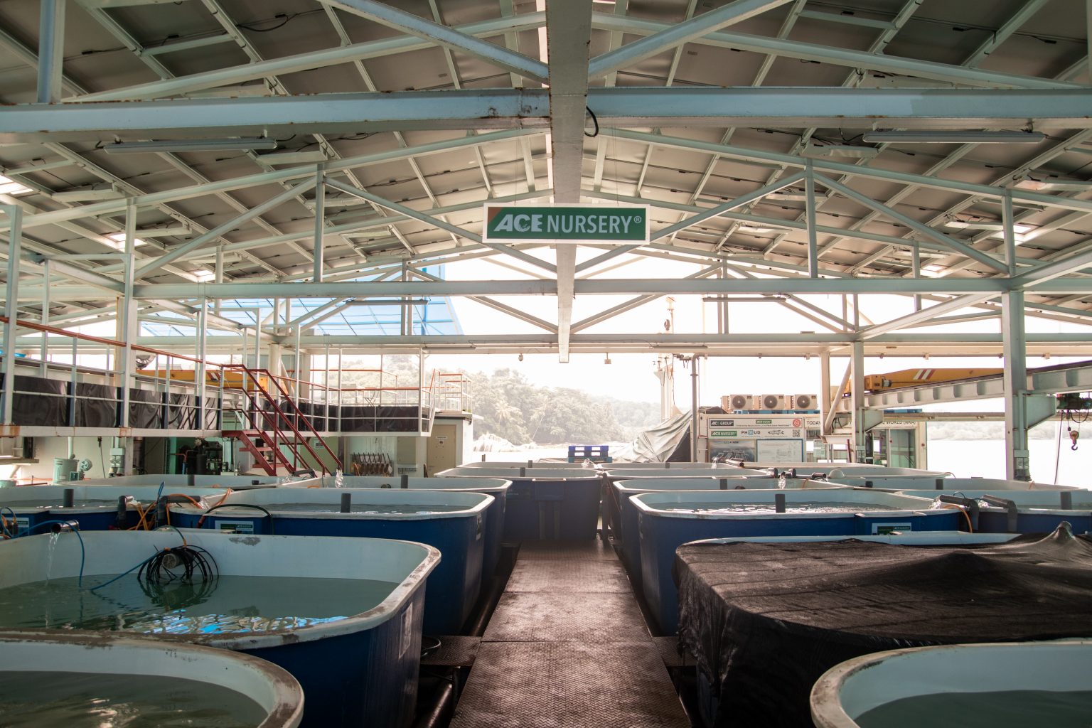 I, A Millennial Singaporean, Became a Fish Farmer For a Week