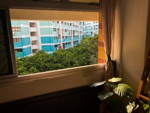 Ten Windows, Ten Perspectives on Phase 2