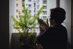 So, What Do Retired Grandparents Get Up to in a Day?