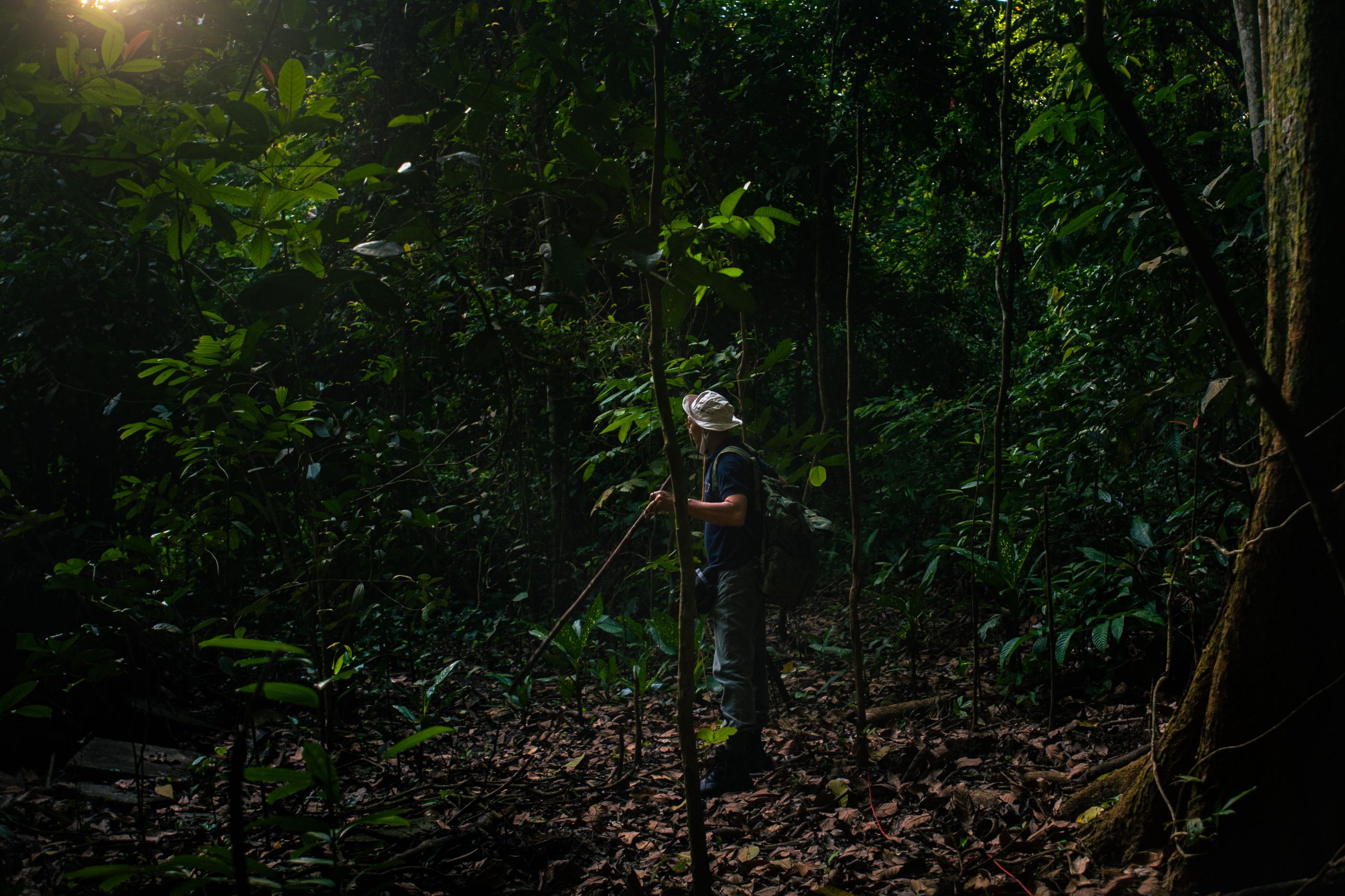 Off The Beaten Track: A Morning In The Woods With A Durian Picker