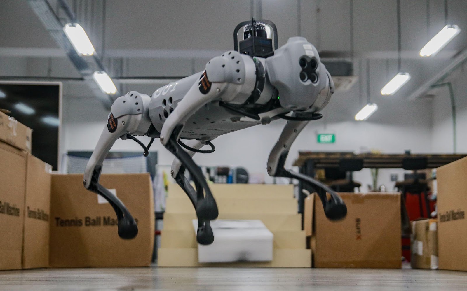 When Science Hits the Park: Robot Dogs, Auto Garbage Collectors and Fragrance Creators