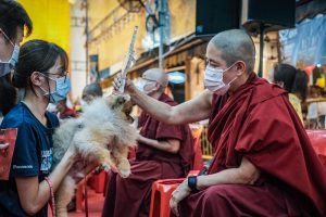 A Trip to Thekchen Choling, the Temple Giving Blessings to Pets