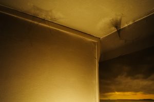 In Photos: Fire at Bedok 409 — a Neighbour Documents the Scene