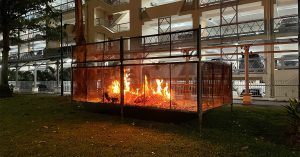 Burning in Public — Unpacking the Clash Between Environment and Tradition