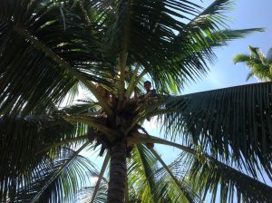 What It Means to Start a Singapore Wellness Brand That Enables a Flourishing Filipino Community