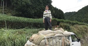Meet Ryhan, the Singaporean Who Fell Out of Love and Became a Tea Farmer in Japan