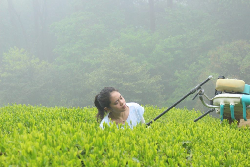 tea farmer ryhan