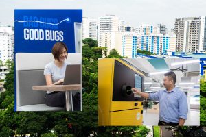 Dengue Reduction and Recycling: Into the Companies that Shape Where I Want to Live
