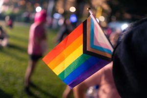 377A Debates: The Lack of Joy in Parliament Is Disturbing