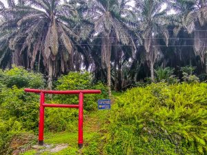 In Sarawak, a Hidden Japanese Shrine Offers an Alternative Pre-WWII History