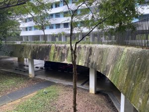 BTO ‘Mould-Gate’: When Joy for New Homes in Singapore Decays