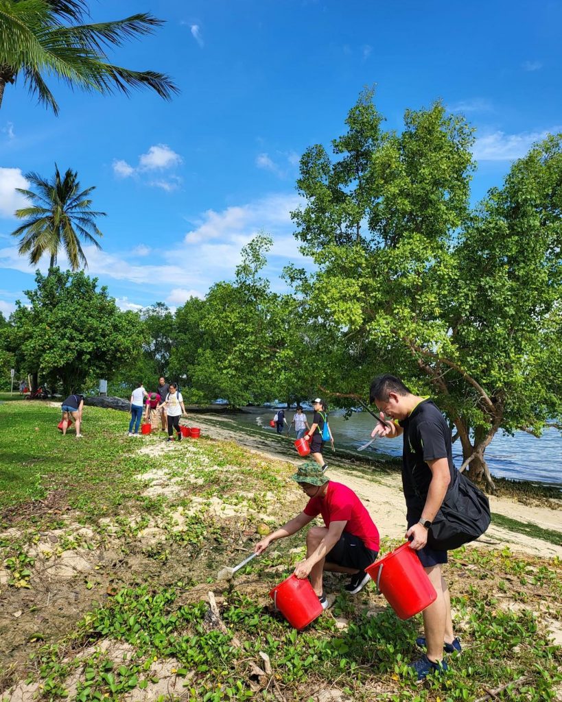 Singapore Dow recycling scandal