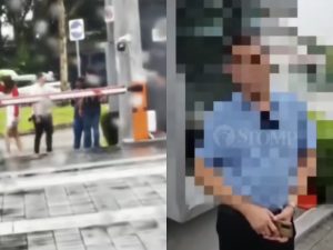 The Sin Ming Condo Incident, or Why Roasting Entitled Rich People Feels Good