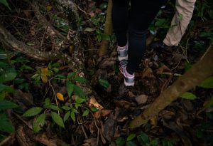 Burnout Pushed a Primary School Teacher To Quit. Now She Runs a Forest School.