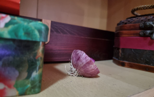 My Mum Still Puts Raw Onions in My Room To ‘Ward Off Illnesses’, and I Let Her