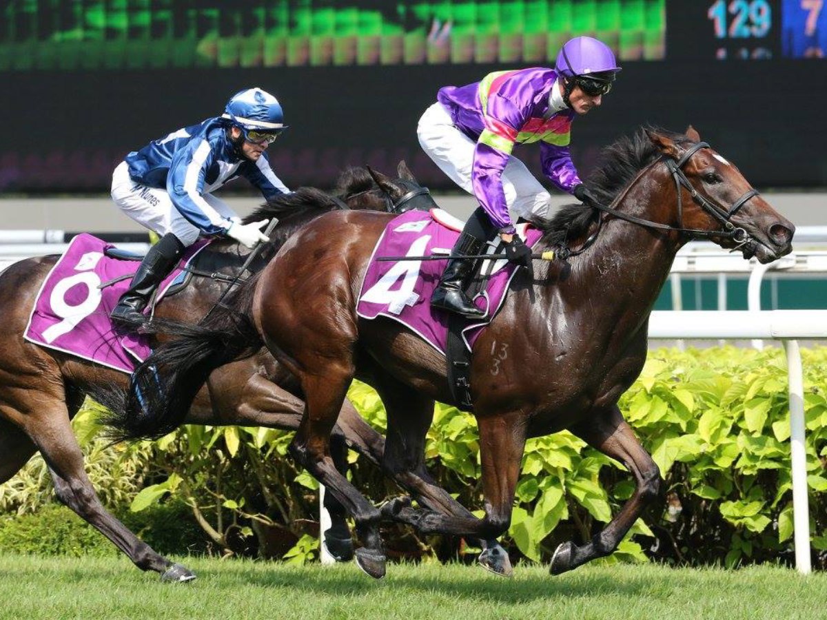 Singapore Turf Club and the Things We Lose in Our Pursuit of Practicality
