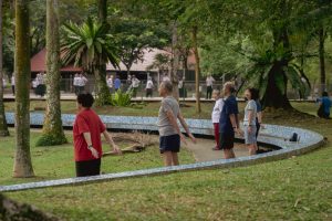 Inside the Mysterious Morning Exercise Rituals of Bishan Park’s Elderly Singaporeans