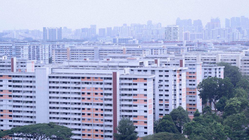 HDB flat adult adulthood