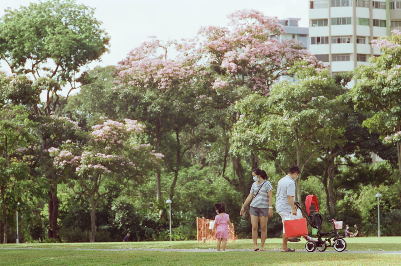 Park family child