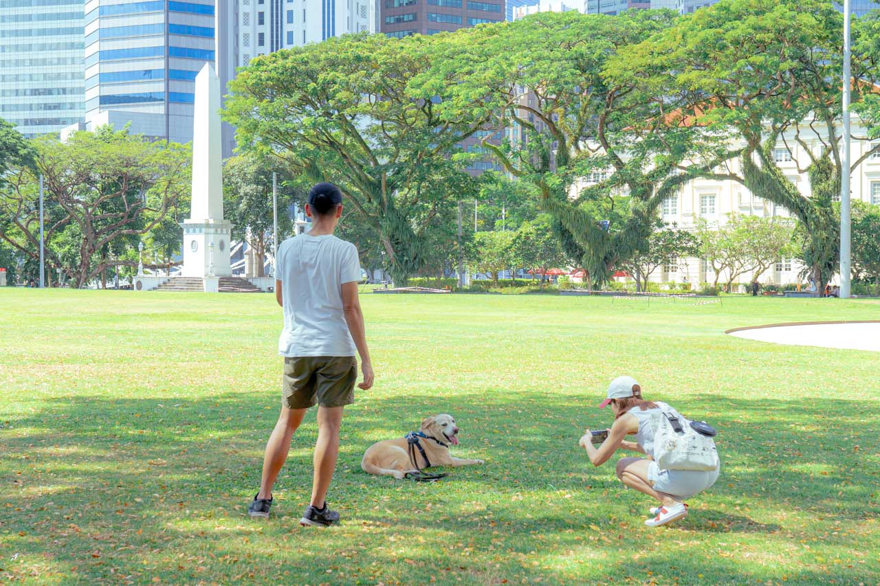 couple dog park 