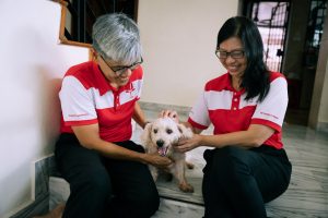 PSP’s Hazel Poa and Tony Tan Are Campaigning—For Office, and Each Other
