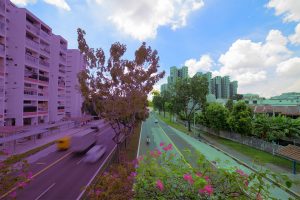 Invisible Lines: Tracing the Edges of Singapore’s Electoral Boundaries