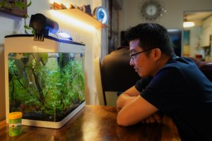 LazyCabbie, the Taxi Driver Vlogging Through His Midlife Crisis on YouTube