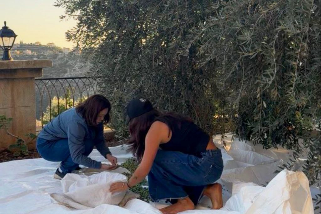 The Singaporean Mum and Daughter Making Lebanese Olive Oil That’s Rooted in Resistance
