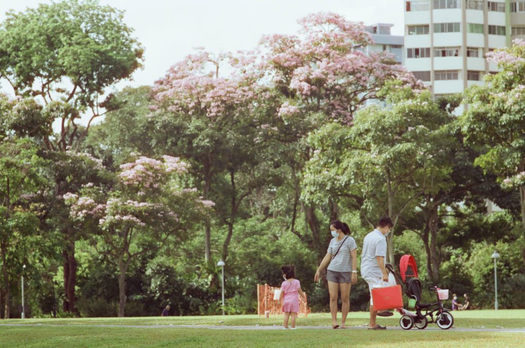 Singapore Wants More Babies, but to What End?